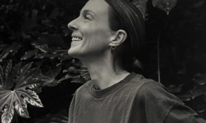 1000600_81-300x180 